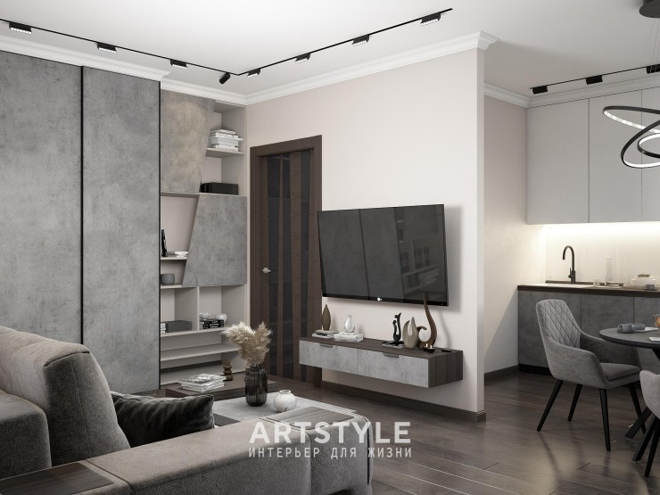 Кухня-гостиная