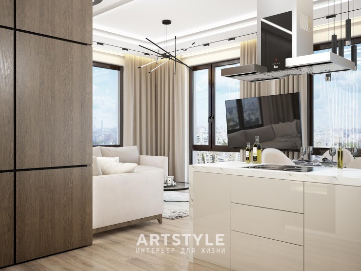 Кухня-гостиная