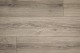 EL2171 Дуб Падуа Натуральный