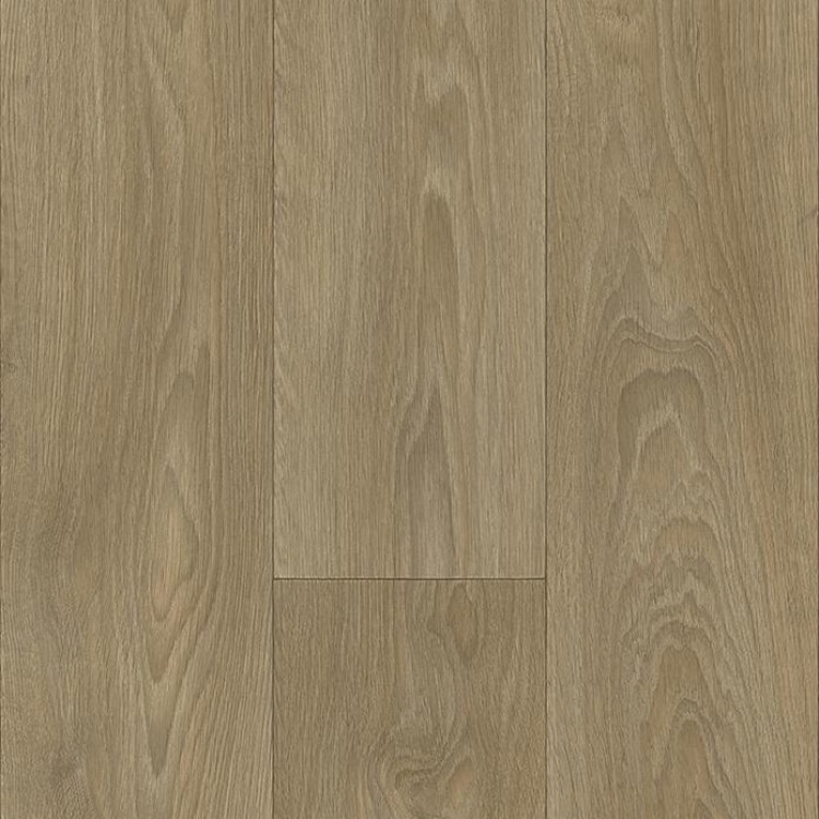Allure T36