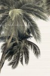 PWU09DLM3 панно из 3 плиток Дель Мар / Del Mare 500*747 (3 к-та в коробке)