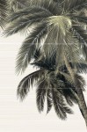 PWU09DLM2 панно из 3 плиток Дель Мар / Del Mare 500*747 (3 к-та в коробке)